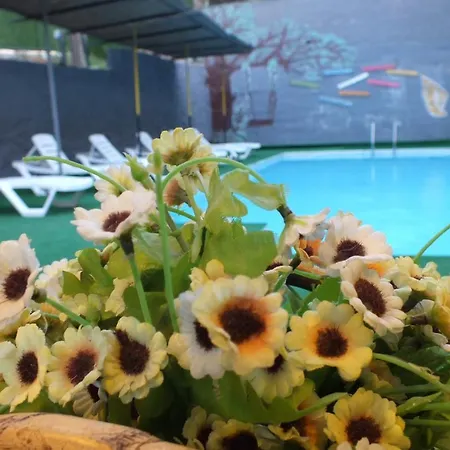 Avalon Hotel Kusadasi