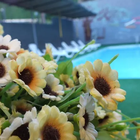 Avalon Hotel Kusadası