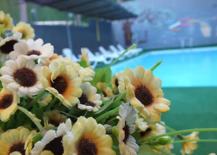 Avalon Hotel Kusadası